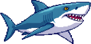 Requin droite